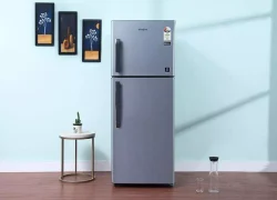 DoubleDoorFridge